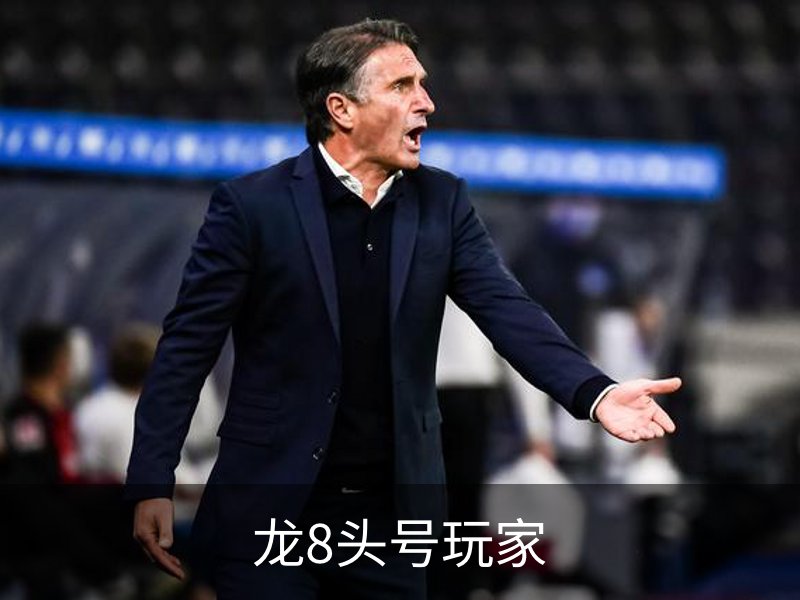 了解龙8头号玩家